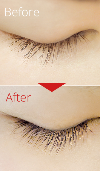 D Max 超濃厚まつげトリートメント Ladycoco公式ストアのまつげエクステ商材