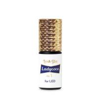 一括購入 / Ladycoco公式ストアのまつげエクステ商材